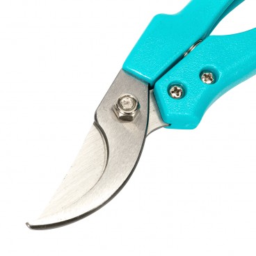 Foarfec vie ALBASTRU