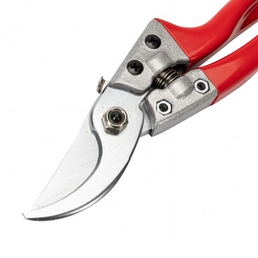 Foarfeca vie automata