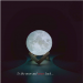 Moon Lamp 3D, Lampa Luna 15 CM LED Portabila, Stand Lemn, Alb Cald si Rece, Intensitate Reglabila, Reincarcabila